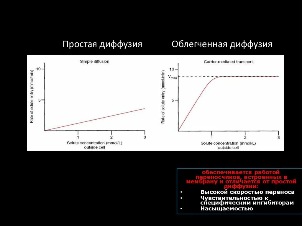 Простая диффузия и облегченная диффузия отличия. Простая диффузия и облегченная диффузия отличия