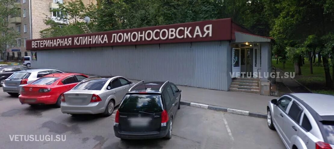 медицинский научно- образовательный центр мгу им. проспект андропова 18 к 7. докдети ломоносовский проспект. москва, ул. ломоносовский фонд архангельск.