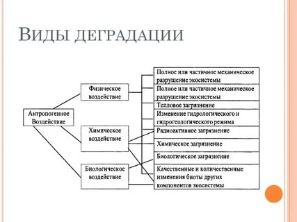 Деградация структуры