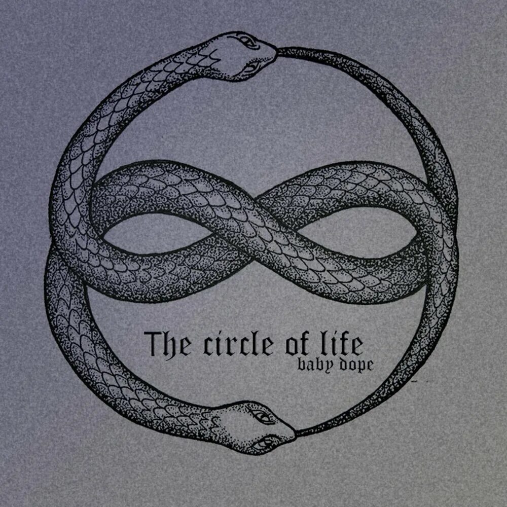 Life is circle. Circle of Life. Кармен Твилли circle of Life. It's the circle of Life. Circle of Life исполнители.