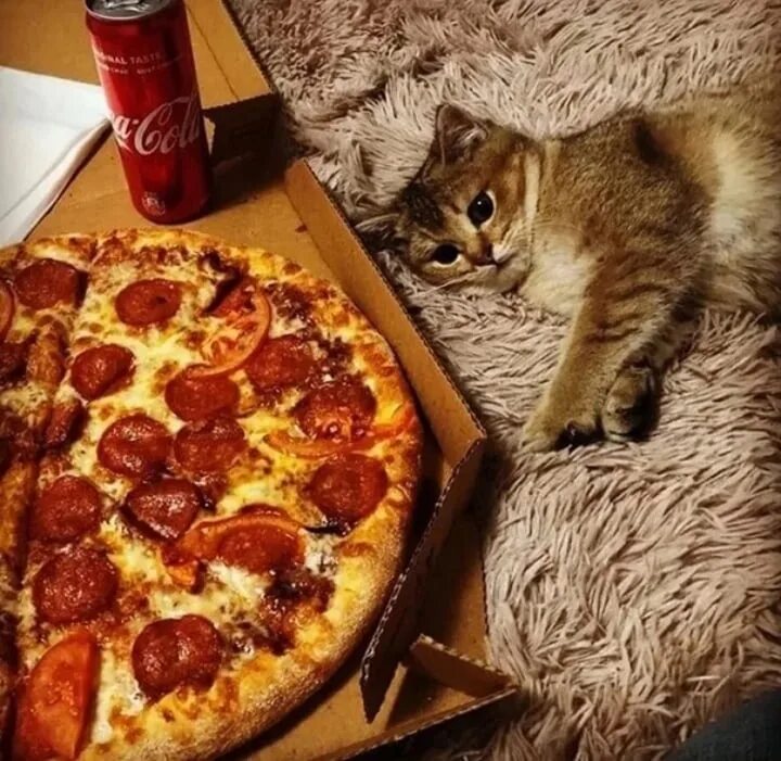 Can i have pizza