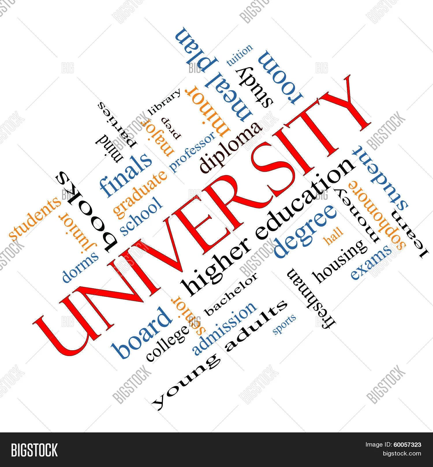 University words. Университет слово. university надпись. ассоциации к слову университет. университет от слова.