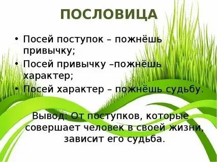 Кто сеет мир пожнет счастье значение пословицы