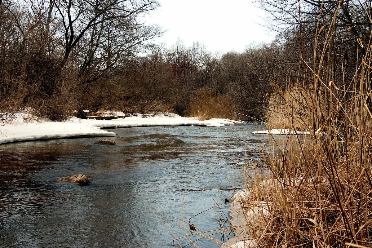 река навести. весенний разлив вод. река навести. река верхняя терсь. эстония через реку.