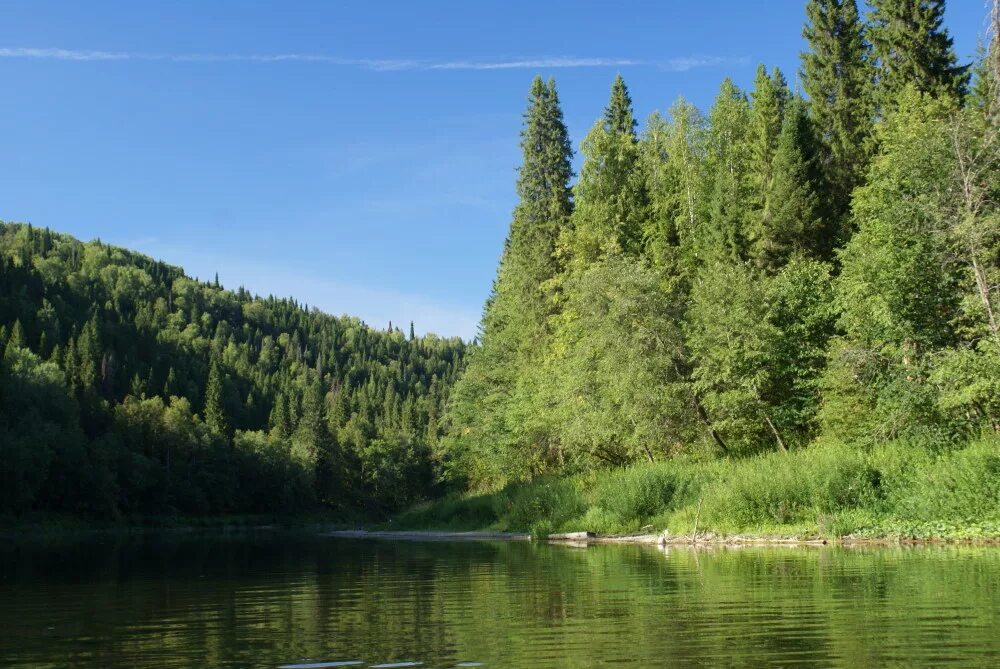 Караидель башкортостан. Река уфимка караидель. караидельский район природа. караидельский район река.