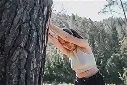 Ретрит на алтае 2024. Йога ретрит. Ретрит на алтае 2024. Ретриты алтай. Йога на алтае.