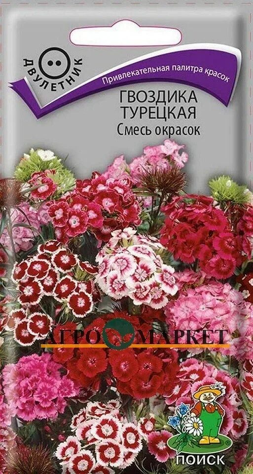 Гвоздика турецкая окрасок. Гвоздика турецкая махровая двулетник. Гвоздика турецкая махровая смесь. Гвоздика турецкая Мираж. Гвоздика турецкая смесь окрасок двулетник.