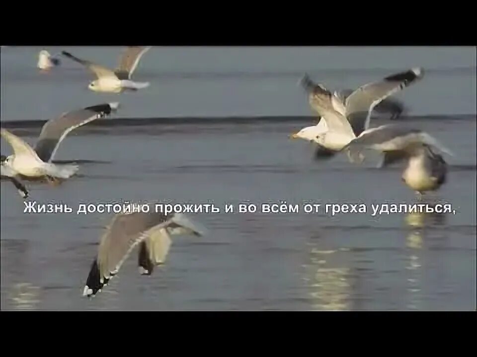 Если духом ты слаб алиса