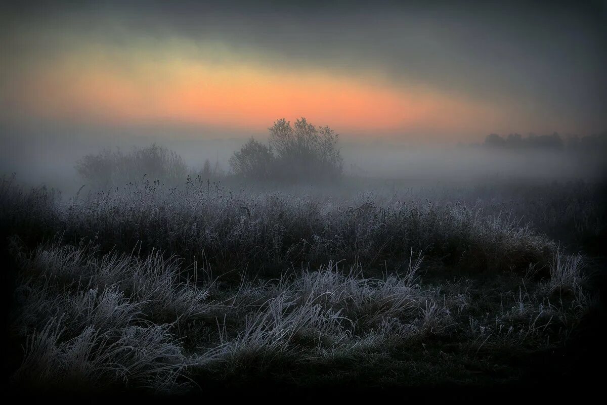 Тоскливый пейзаж. Черный туман явление природы. Черный ветер. Foggy weather. Ветры и туманы черный.