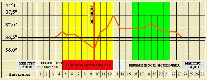 Можно забеременеть за 10 дней. Безопасные дни цикла. Ктнла можно забеременеть. Менструальный цикл безопасные дни. График вероятности забеременеть.