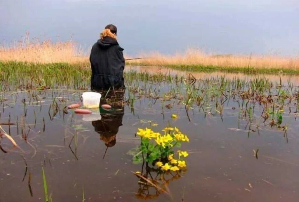 рыбалка в мае
