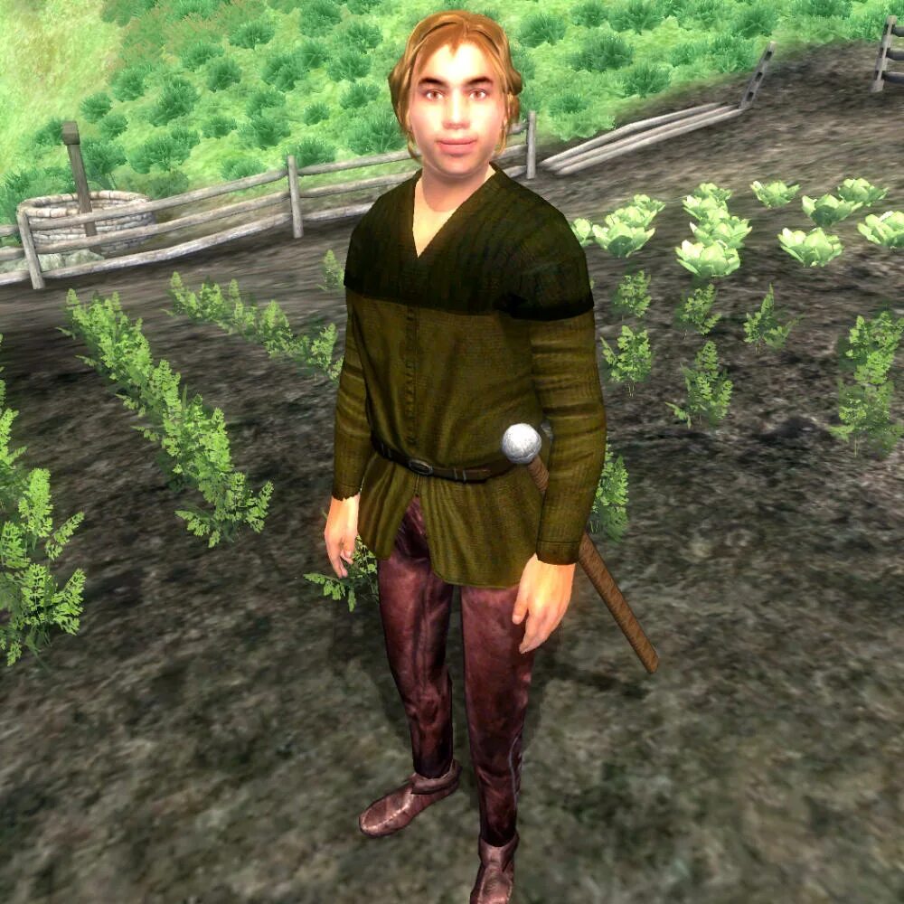 Общение нпс обливион. Нпс в играх. Нпс из обливиона. Нпс из обливион старик лысый. Tes обливион норд.