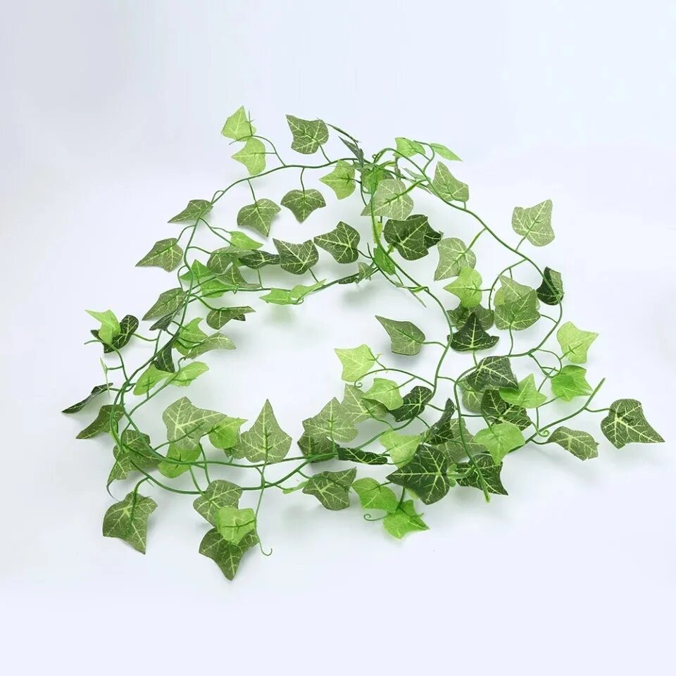 Плющ вечнозеленый (Hedera).. Хедера зеленая Виноградная лоза. Искусственный плющ