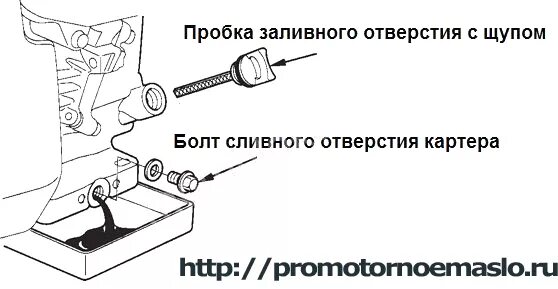 Сколько масла заливается в мотоблок. Какое масло заливается в двигатель мотоблока. мотоблок мб 1 уровень масла в редукторе. какое масло заливают в редуктор мотоблок каскад. мотоблок каскад уровень масла.