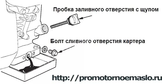 Куда заливается масло в мотоблок. Какое масло заливается в двигатель мотоблока. Мотоблок МБ 1 уровень масла в редукторе. Какое масло заливают в редуктор мотоблок Каскад.