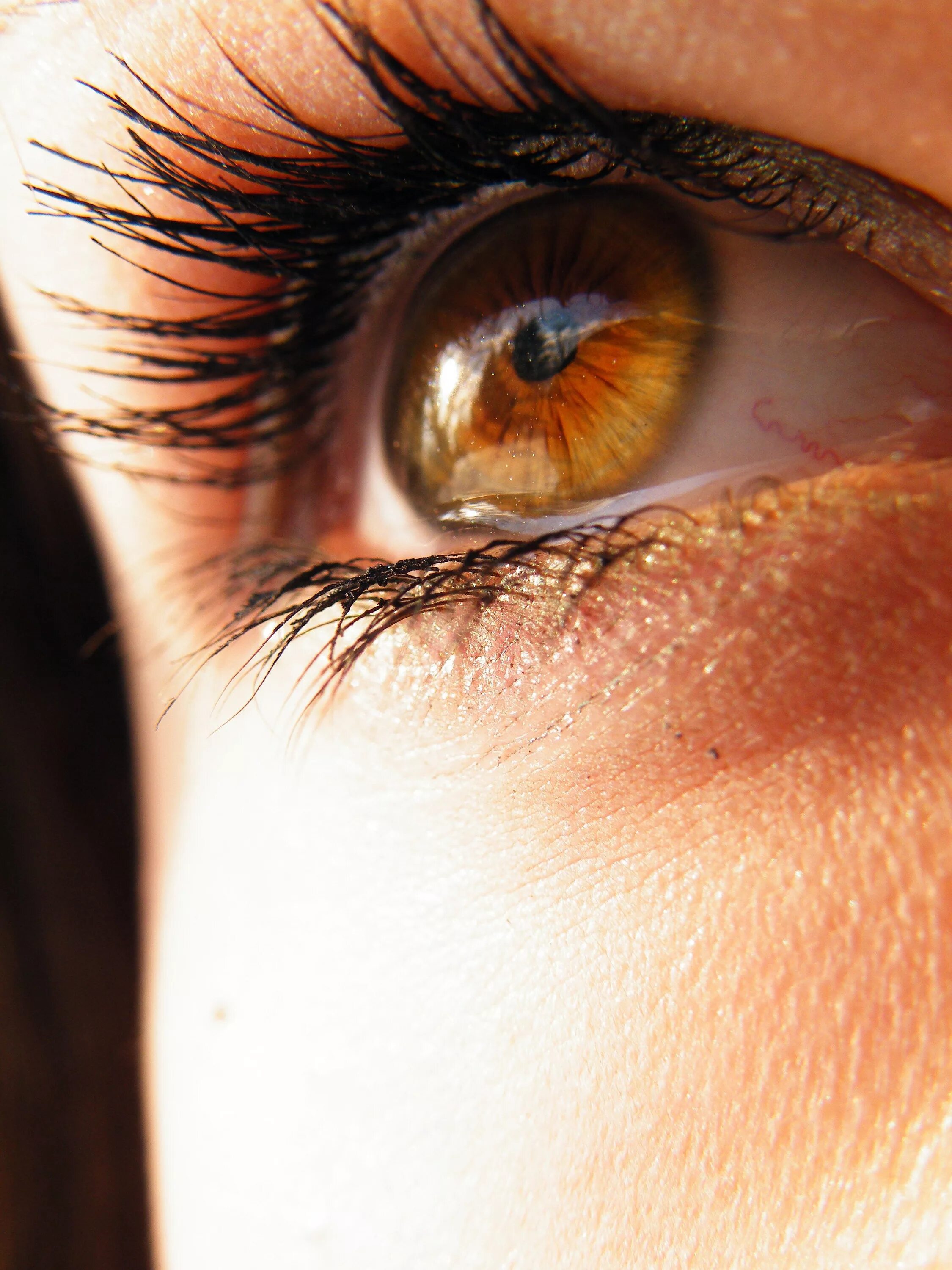 Оранжевые глазки. Янтарные глаза. Карие глаза. Желтые глаза. Светло карие глаза.