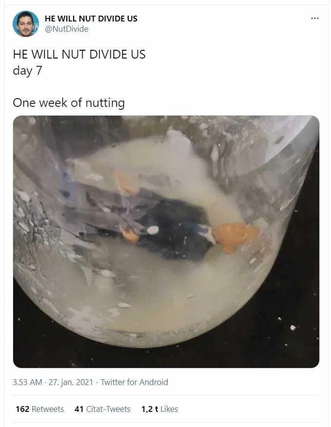He will not divide us что значит. Флаг he will not divide us frog.