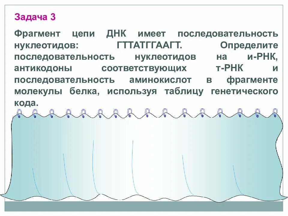 Исходная цепь днк представлена последовательностью 5 цгааггтгацаатгт. Задачи по молекулярной биологии. решение задач по молекулярной биологии. решение задач по молекулярной биологии с ответами. фрагмент цепи днк имеет последовательность нуклеотидов гтгтатггаагт.