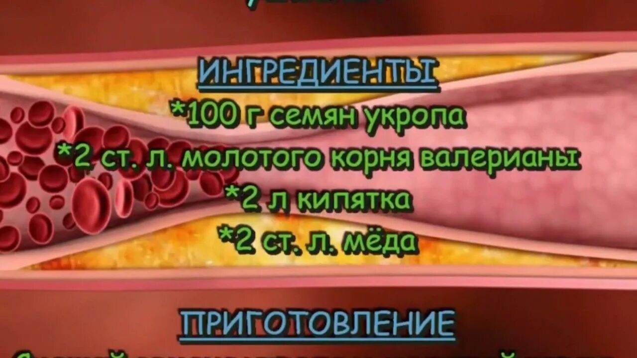 Как очистить сосуды от тромбов народными