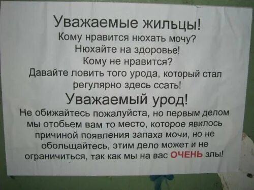 Вонь в подъезде от соседей. Засор канализации в многоквартирном доме. Кошачий запах в подъезде. Мочой пахнет в подъезде. В туалете пахнет мочой