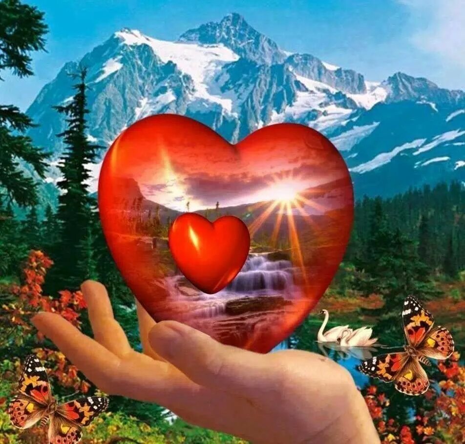 Сердечной радости. Любовь к природе. Радостное сердце. Радость в сердце. Дарю сердце.