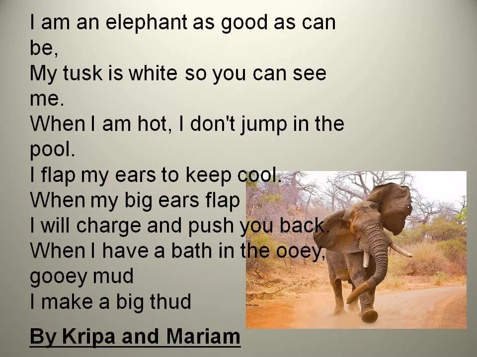 Poems about Elephants. Elephant poem. About Elephant for Kids. Elephant poem for Kids.