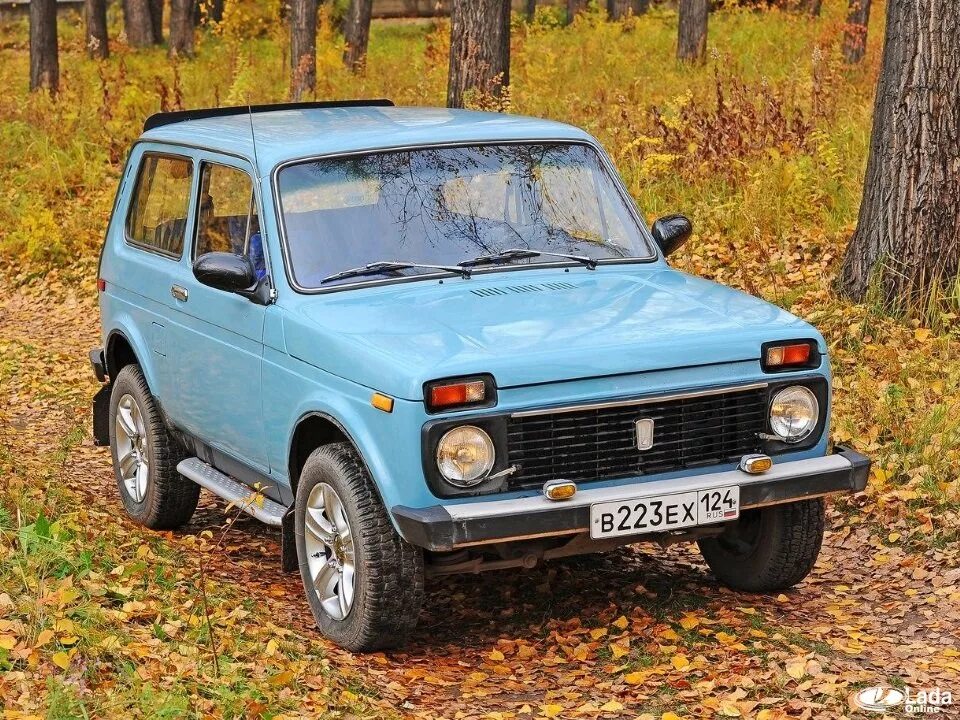 Ниву елец