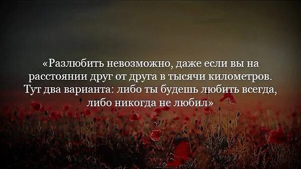 Нельзя сильно любить. Невозможно разлюбить человека. Невозможно любить на расстоянии цитаты. Афоризмы про любовь невозможную. Цитаты как можно разлюбить.