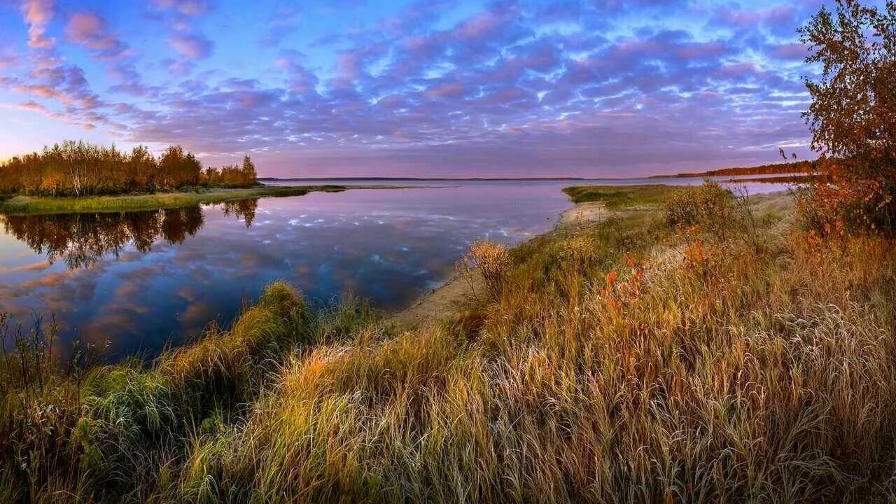 Печальный пейзаж. Скупая природа. Рассвет на реке. Скупая природа. Скупая природа.