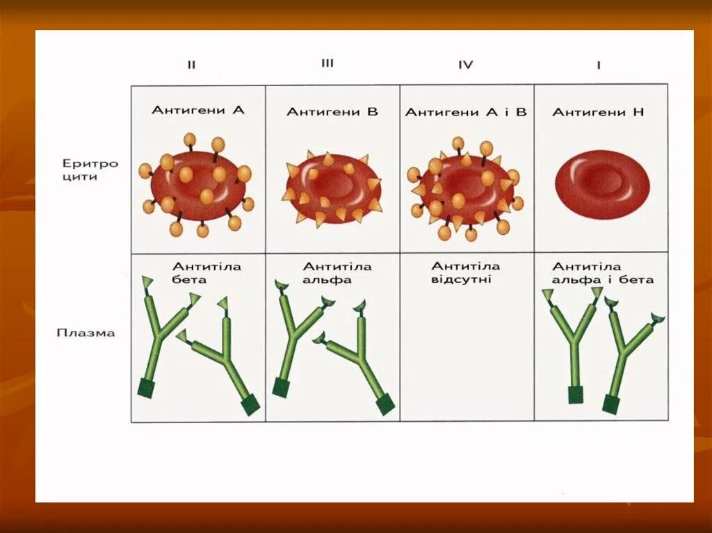 Измерение намагниченности приложение. Бета плазма. Электроны температур. В плазме крови содержатся агглютинины. Поливелл.