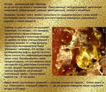 Какую область называют янтарным краем