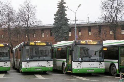 Автобус до пожарского
