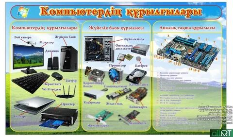 Интернетте құлды жалайтын киска