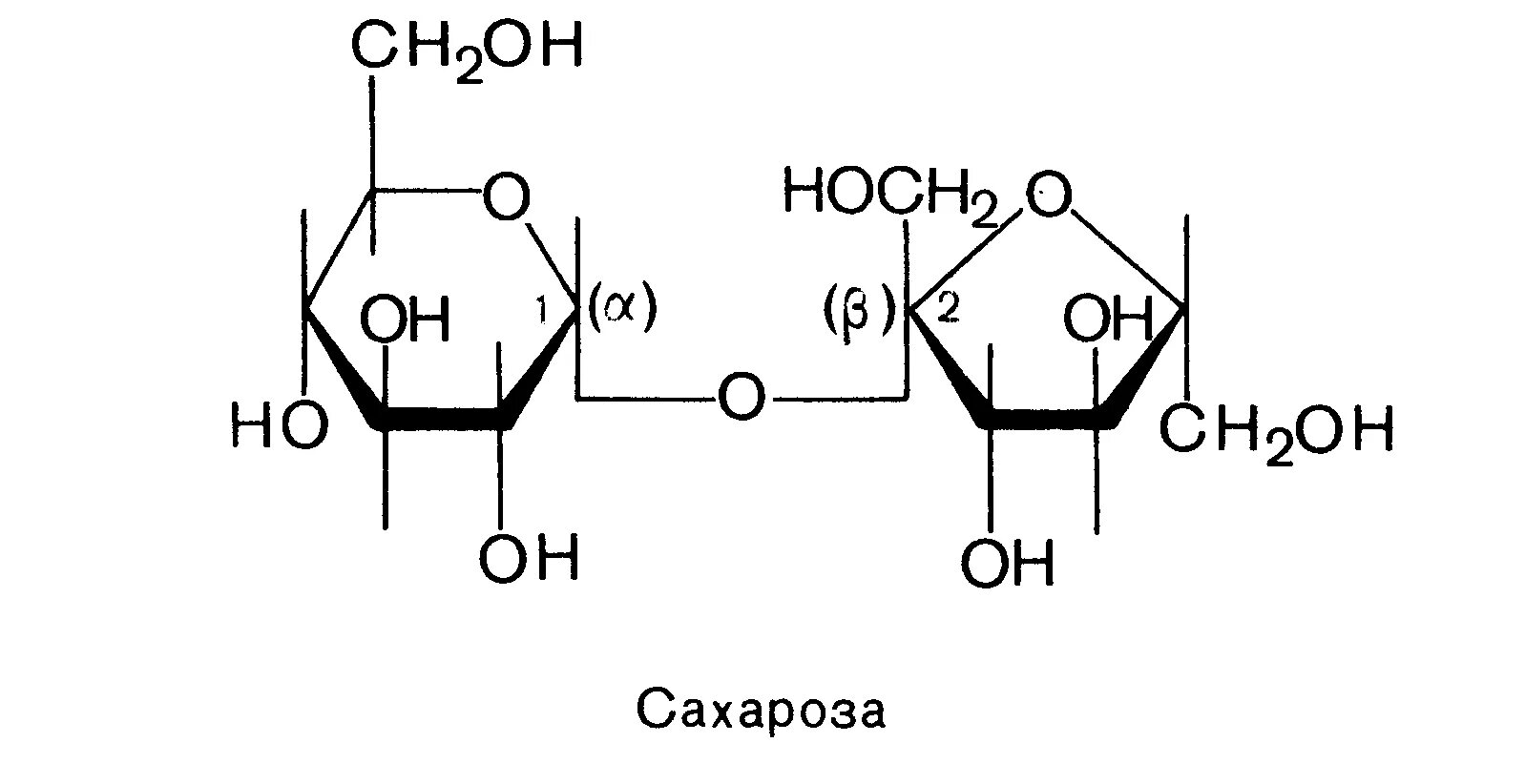 Сахароза генщтн. Геншин sucrose. Строение сахарозы. Сахароза раскраска Геншин Импакт.