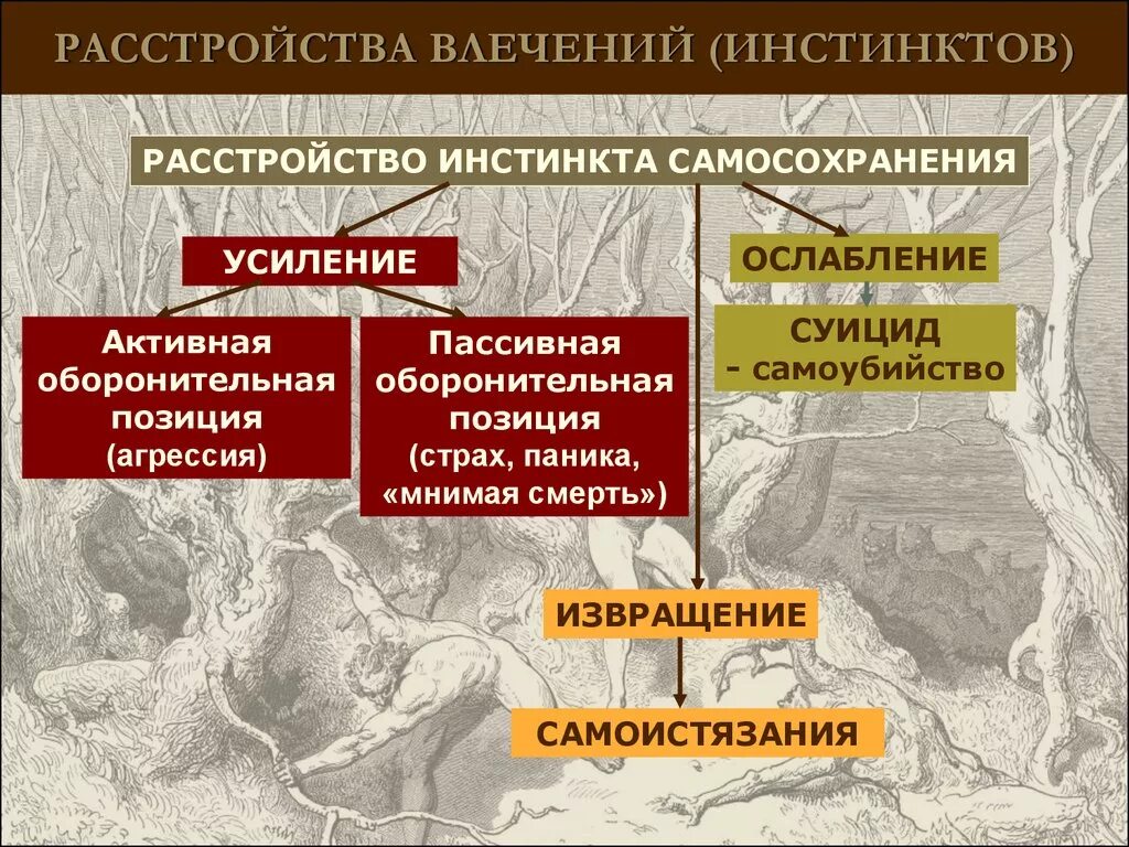 Инстинктивное влечение. Расстройство инстинктов. Расстройства влечений психиатрия. Расстройства влечений классификация. Нарушения инстинктивной деятельности.