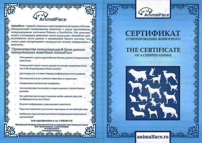 Энимал чипирование животных