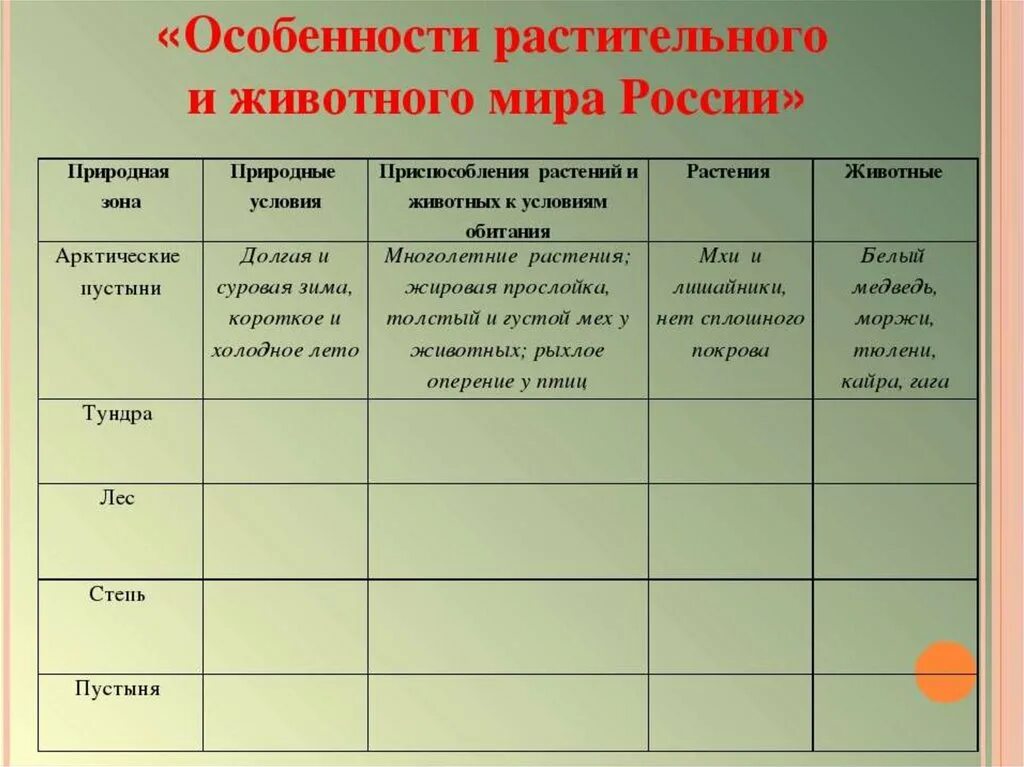 Характеристика природных зон таблица 6 класс. Растительный и животный мир России таблица 8. Растительный и животный мир природных зон таблица.