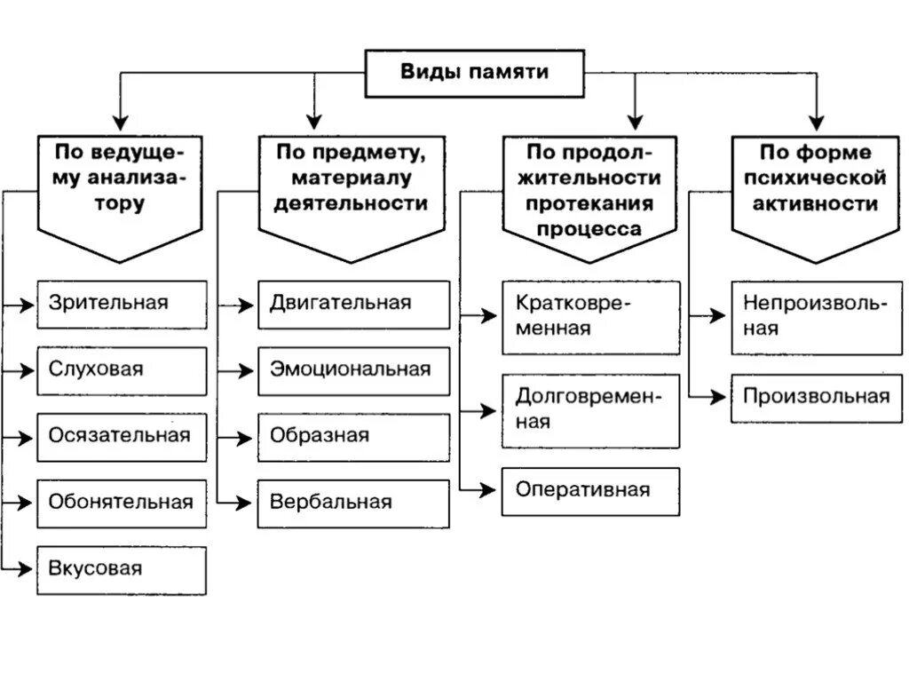 Память программ типы. Классификация основных видов памяти. Типы памяти в психологии таблица. Классификация видов памяти в психологии. Классификация основных видов памяти схема.