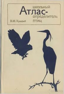 Атлас определитель 2 класс птицы