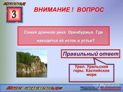 Ответить 35 3