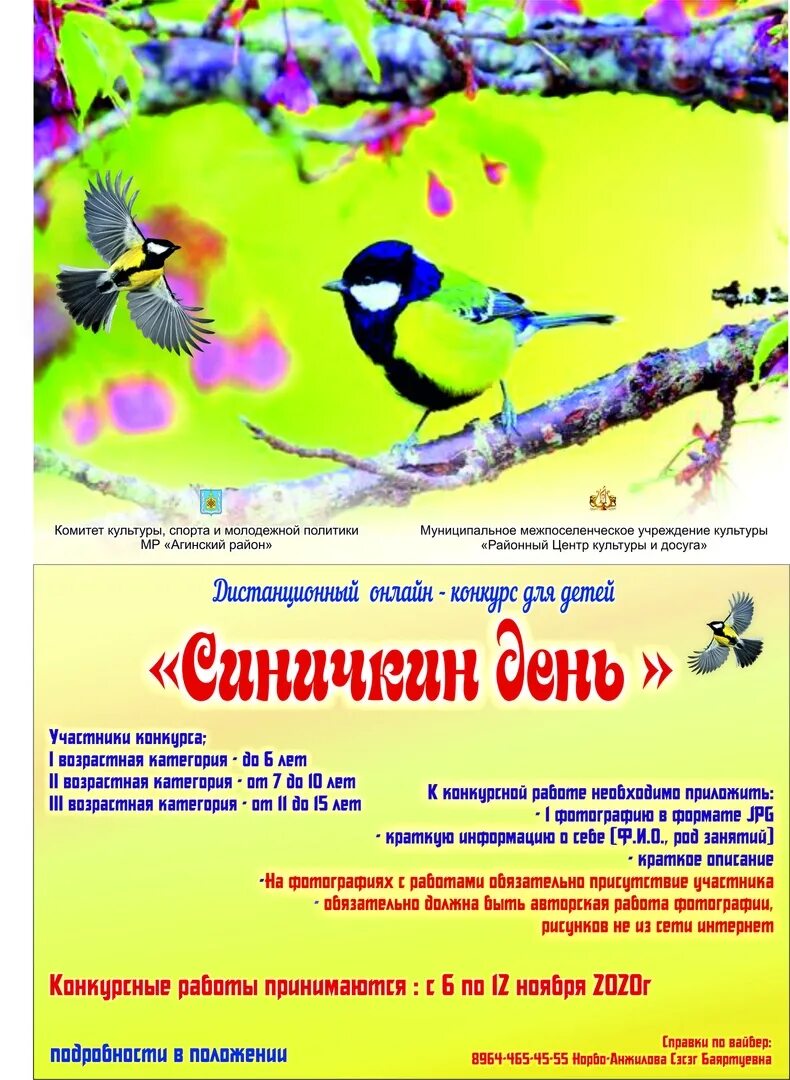 Синичкин день рисунок конкурс. Синичкин день в детском саду. Синичкин день шаблон. Конкурс синичкин день. Грамота синичкин день.