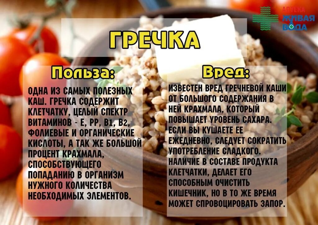 Как часто можно есть кашу. Польза гречки. Чем полезна гречневая каша. Чем полезна гречка. Гречневая каша польза.