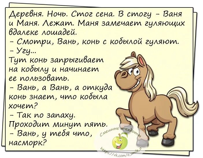 Слова со слова насморк. Анекдот про насморк. Смешные анекдоты. Насморк смешные картинки. Смешные шутки.