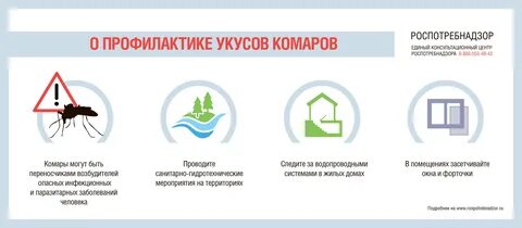 Комары передают инфекции