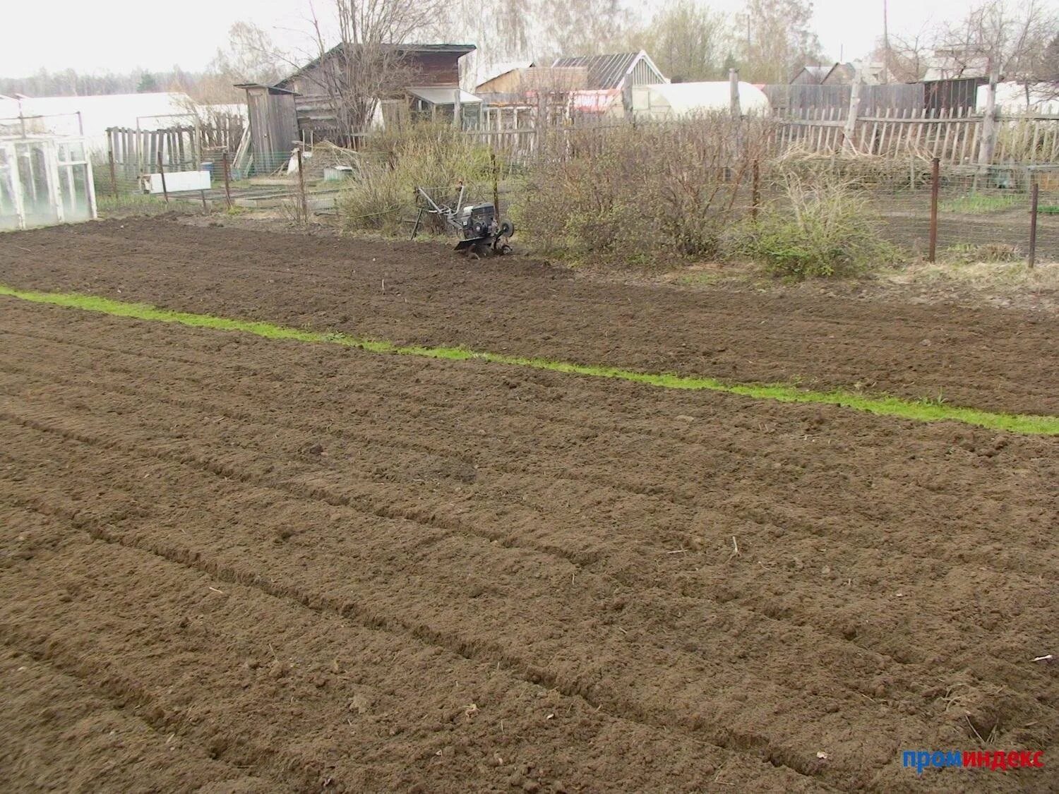 Сколько стоит вспахать мотоблоком 1 сотку. Вспаханный участок земли. Вспашка огорода. Вспаханный огород. Копка огорода мотоблоком.