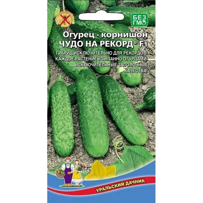 Чудо огурцы отзывы. Огурец уральский корнишон уральский дачник. огурец чудо уральский дачник. огурец сибирский пучок уральский дачник. семена огурец миллионер f1.