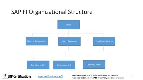 Sap fi