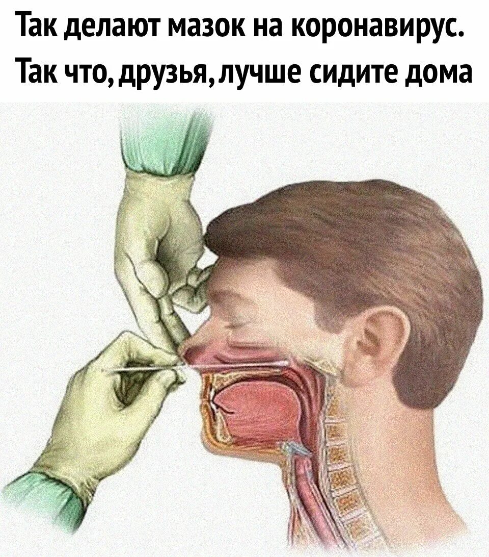 Как правильно сдавать ковид