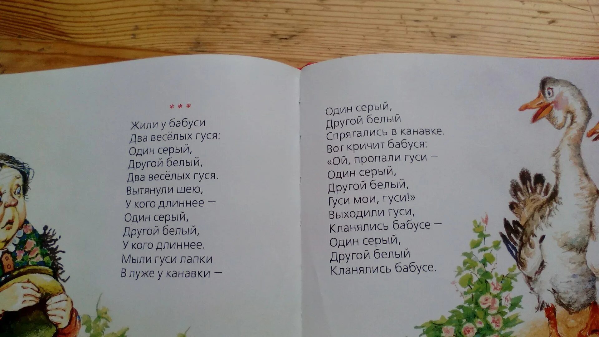 Слова веселых гусей. Жили у бабуси 2 веселых гуся. Жили у бабуси два веселых гуся текст. Жили у бабуси два весёлых гуся один серый другой белый. Жили-были у бабуси два веселых гуся текст.