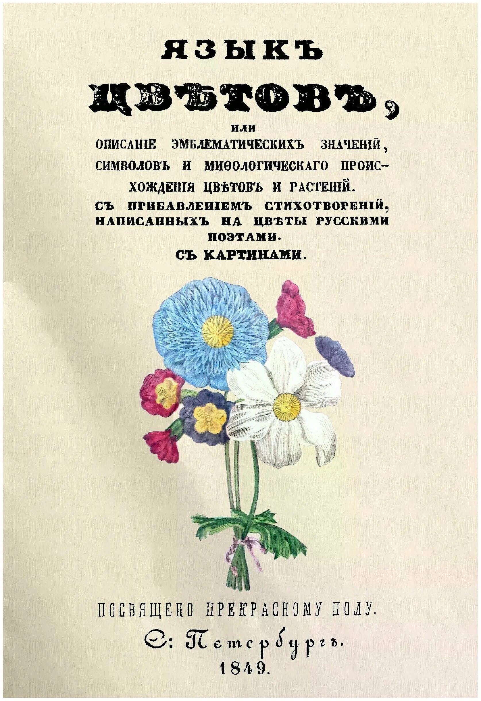 язык цветов полевые цветы. символика цветов растений. символика цветов растений. цветы язык цветов. символика цветов растений.